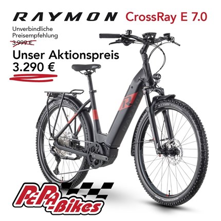 RAYMON CrossRay E 7.0 Du überlegst schon länger dir ein E-Bike anzuschaffen? 