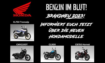 NEWSLETTER NOVEMBER 2022/02