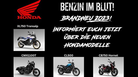 NEWSLETTER NOVEMBER 2022/02