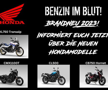 NEWSLETTER NOVEMBER 2022/02