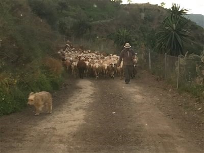 Jahresbeginn 2016 - Bild 8