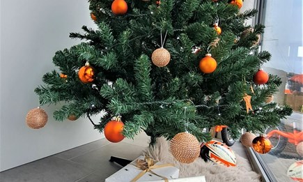 ... Weihnachten zieht ein...