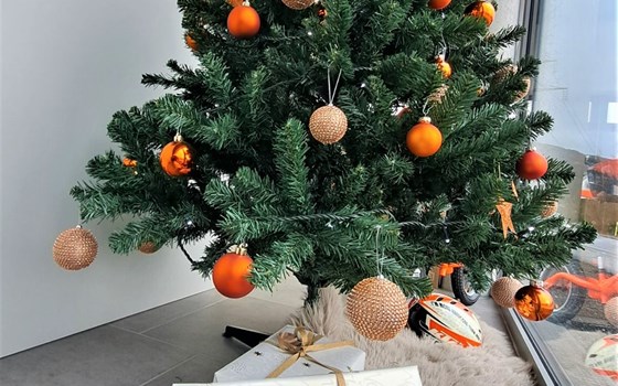 ... Weihnachten zieht ein... - Bild 1