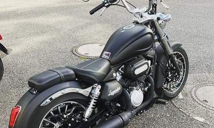 Handvoll 125er Chopper und Cruiser nach 8 Monate Wartezeit eingetroffen 