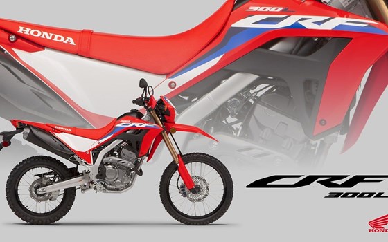 Honda Semmler  - Honda CRF300L für 2023 - Bild 2