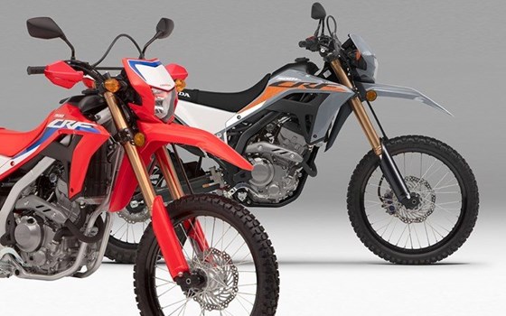 Honda Semmler  - Honda CRF300L für 2023 - Bild 8