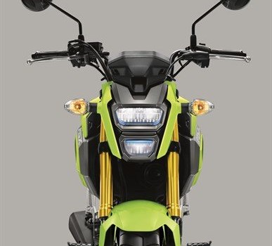 Honda Semmler - MSX 125 Modell 2016 - Bild 7