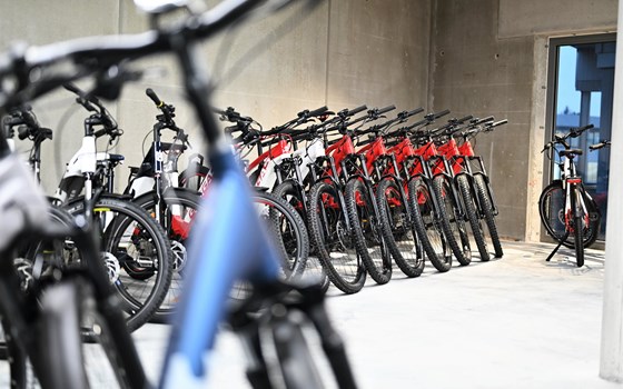 Job Rad / Blum Jobbike….hol dir jetzt dein E-Bike.….. - Bild 2