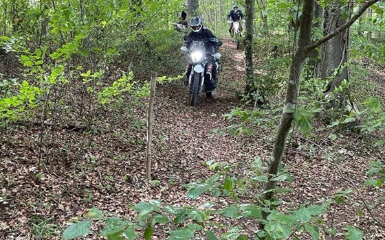 Endurokurs 17. August 2022 - Bild 4