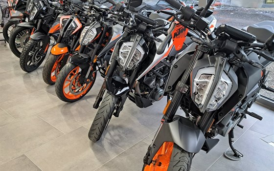 ... wir sind wieder da... - Bild 1