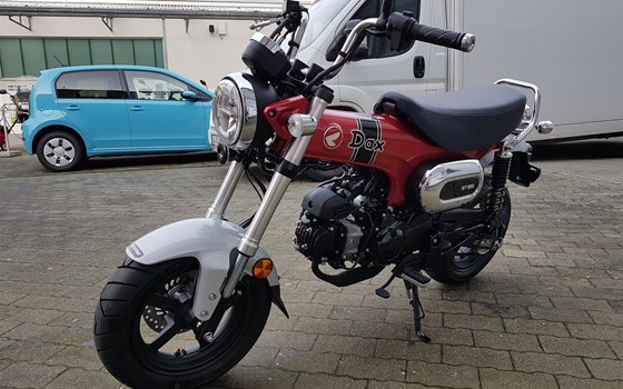 Honda Semmler - Honda DAX 125 - Bild 14