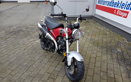 Honda Semmler - Honda DAX 125 - Bild 15