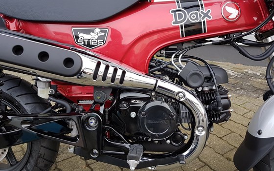 Honda Semmler - Honda DAX 125 - Bild 5