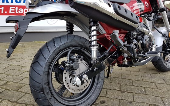 Honda Semmler - Honda DAX 125 - Bild 7