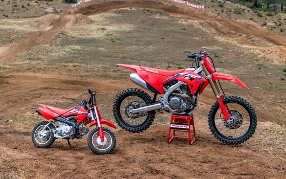 Saisonstart Aktion  - Bild 4