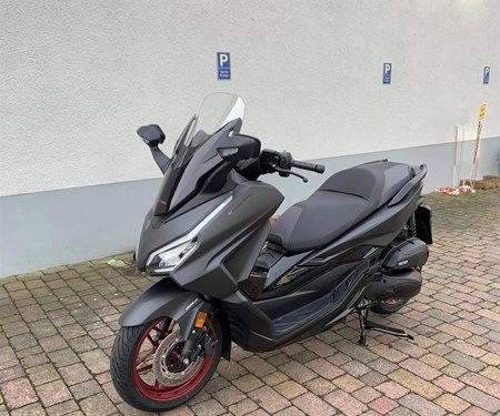 Forza NSS125 Special Edition verfügbar 