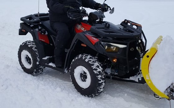 Aus gegebenen Anlass - Schnee schieben leicht gemacht! ;-) - Bild 7