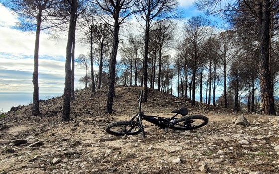 Yamaha eBike - first Contact! - Bild 2