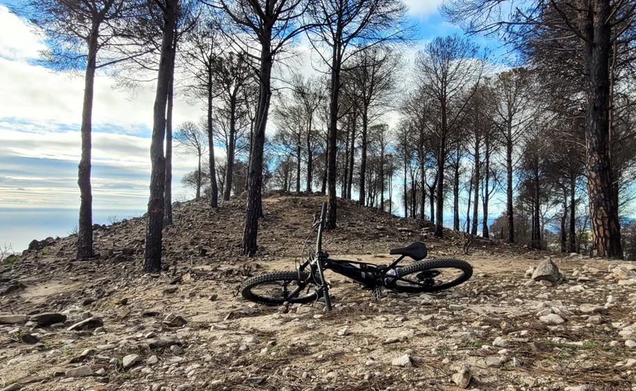 Yamaha eBike - first Contact! Bild 2: Yamaha eBike - first Contact!