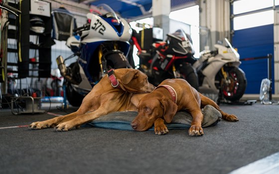 Jahresrückblick 2022 – Neues YouTube Video - Bild 5