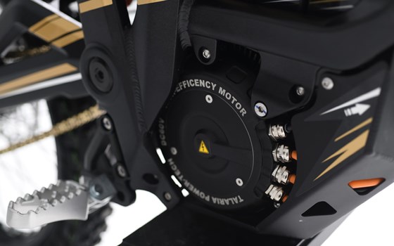 !!! Gerade bei uns eingetroffen !!!  Talaria Sting L1e mit Straßenzulassung - Bild 4