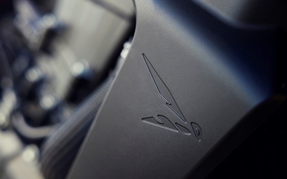 EINGETROFFEN! Die neue HONDA Hornet CB750 - Bild 2