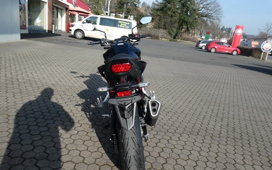 Die neue Honda CB 750 Hornet ist eingetroffen ! - Bild 4