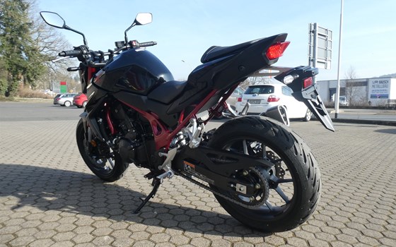 Die neue Honda CB 750 Hornet ist eingetroffen ! - Bild 5