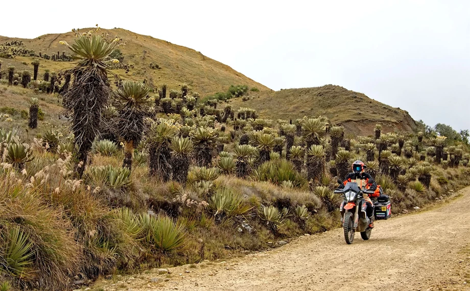 Joe Pichler in der KINI Bike World Bild 7: Joe Pichler in der KINI Bike World