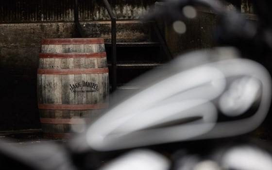 JACK DANIEL’S® LIMITED EDITION - Bild 3 JACK DANIEL’S® LIMITED EDITION - Bild 3