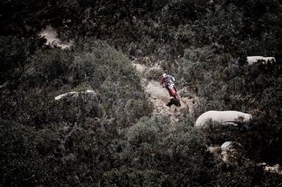 2017 Honda CRF450RX - Bild 5 2017 Honda CRF450RX - Bild 5