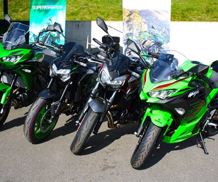 Die neuen Vorfüher 2023 sind eingetroffen!!!