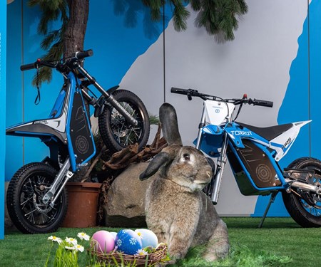 Das ideale Ostergeschenk