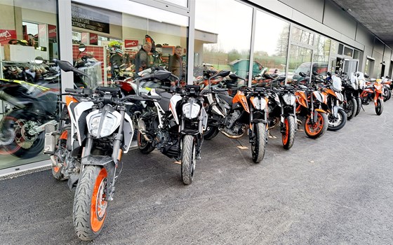 ... ORANGE/EXPLORER DAY... - Bild 2