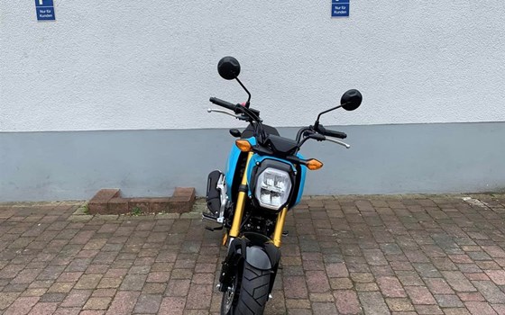 Honda MSX125 Groom verfügbar - Bild 2