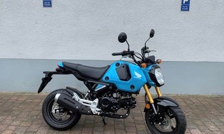 Honda MSX125 Groom verfügbar
