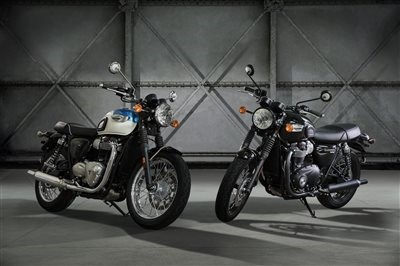 Zuwachs in der Bonneville Familie - Bild 4