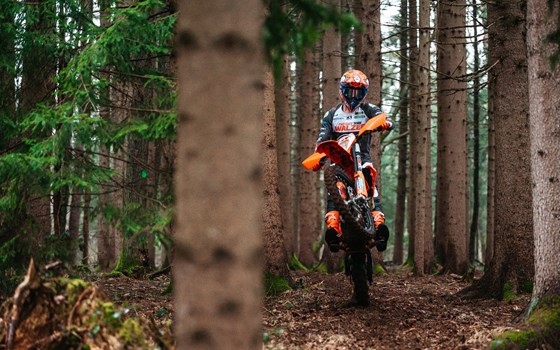 Walzer Teamrider bleiben Siegreich! - Bild 2