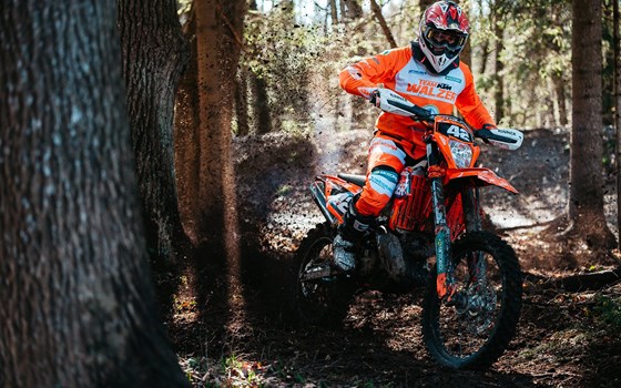 Walzer Teamrider bleiben Siegreich! - Bild 1