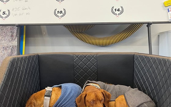 Endlich wieder im Kreis fahren - Bild 5