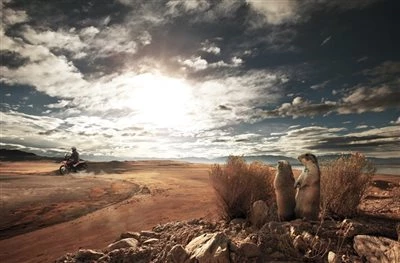 Honda Semmler - CRF 250 Rally Bild 2: Honda Semmler - CRF 250 Rally