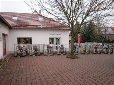 Die  neue CBR1000RR Fireblade Mod.2017 Live - Bild 5