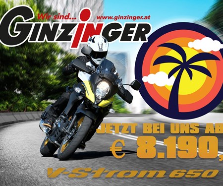 Suzuki DL 650 V-STROM ab € 8.190,- 