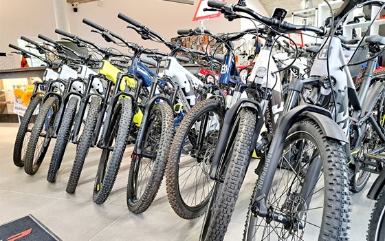 ... hol dir jetzt dein E-Bike!! - Bild 3