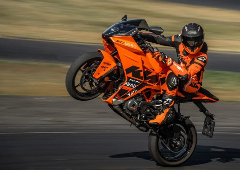 Satte Sommer-Rabatte!  Bild 1: Satte Sommer-Rabatte!