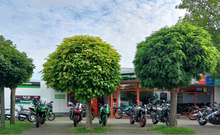 Vorführfahrzeuge Bild 2: Vorführfahrzeuge