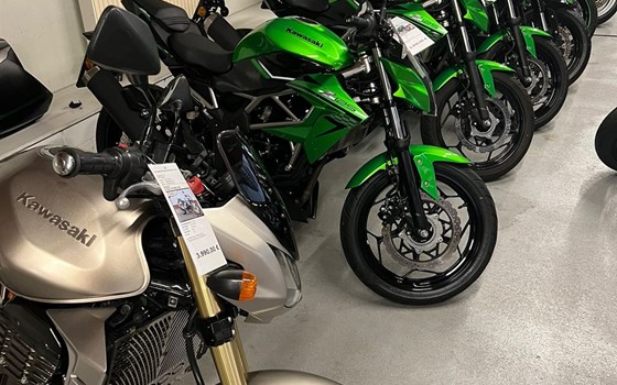 Starke Gebrauchte - Bild 5