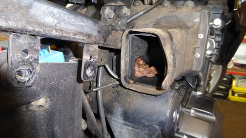 Neuzugang in unserer Kategorie: "Die Wunder der Natur und andere Kuriositäten"