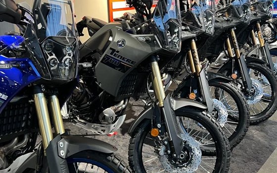 Yamaha Meppen - Bild 3