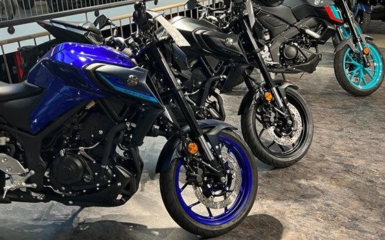 Yamaha Meppen - Bild 6